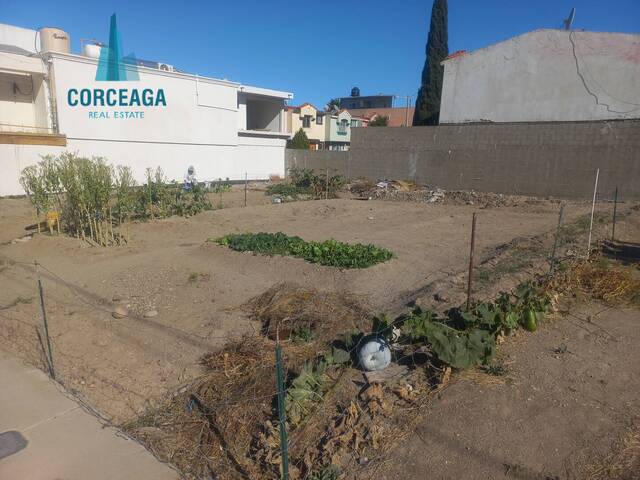 #1085 - Área para Venta en Tijuana - BC - 2