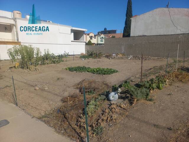 #1085 - Área para Venta en Tijuana - BC - 3